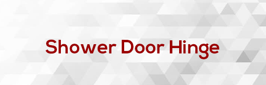 Shower Door Hinge